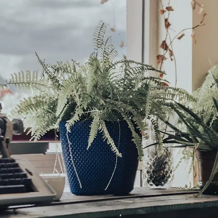 Хостел Albania