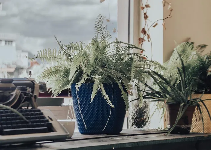 호스텔 알바니아